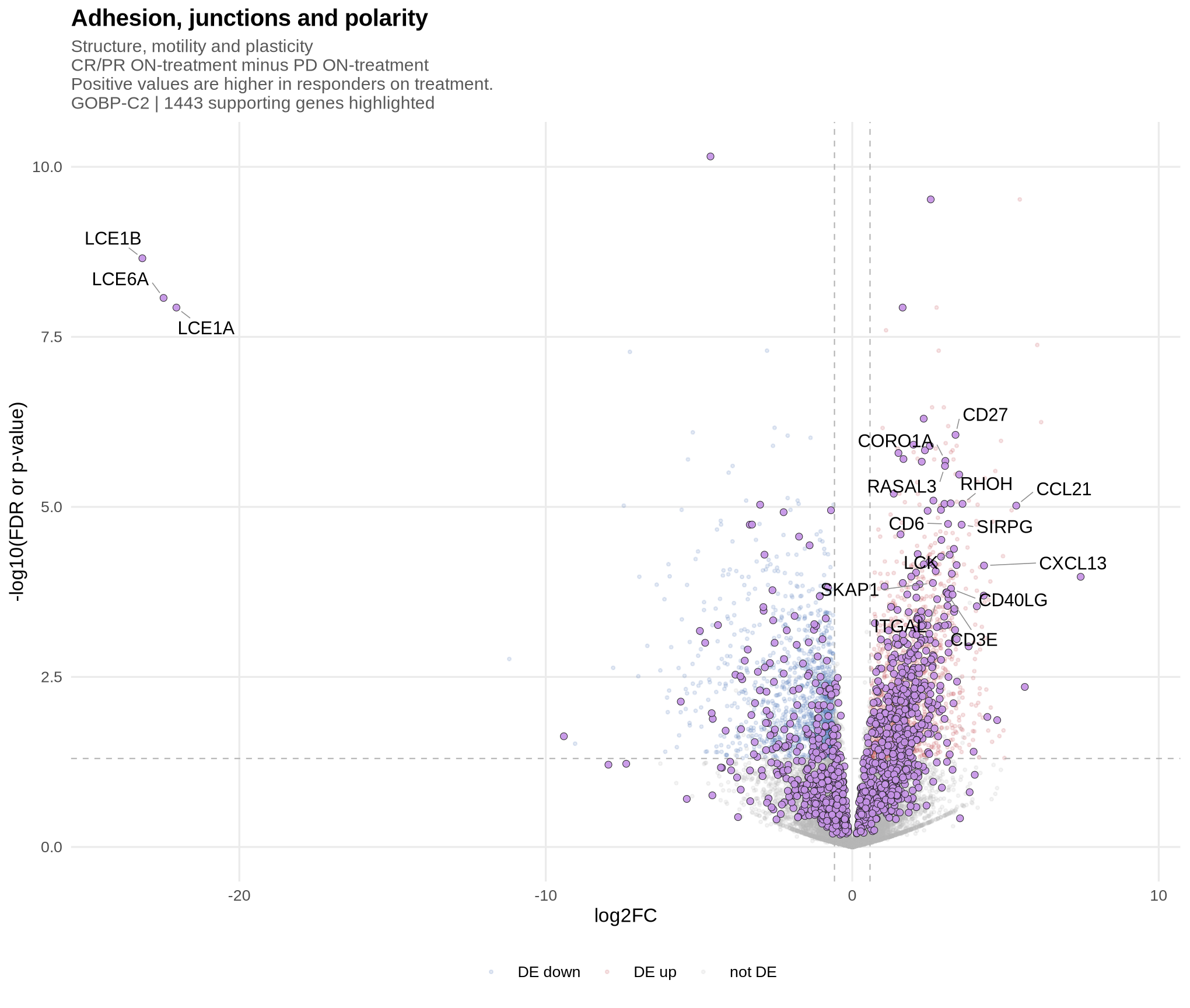 Volcano plots: Riaz, GOBP-C2, Adhesion, junctions and polarity